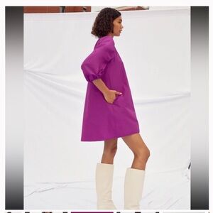 Aritzia Wilfred Cava Taffeta Puff Sleeve Trapeze Dress